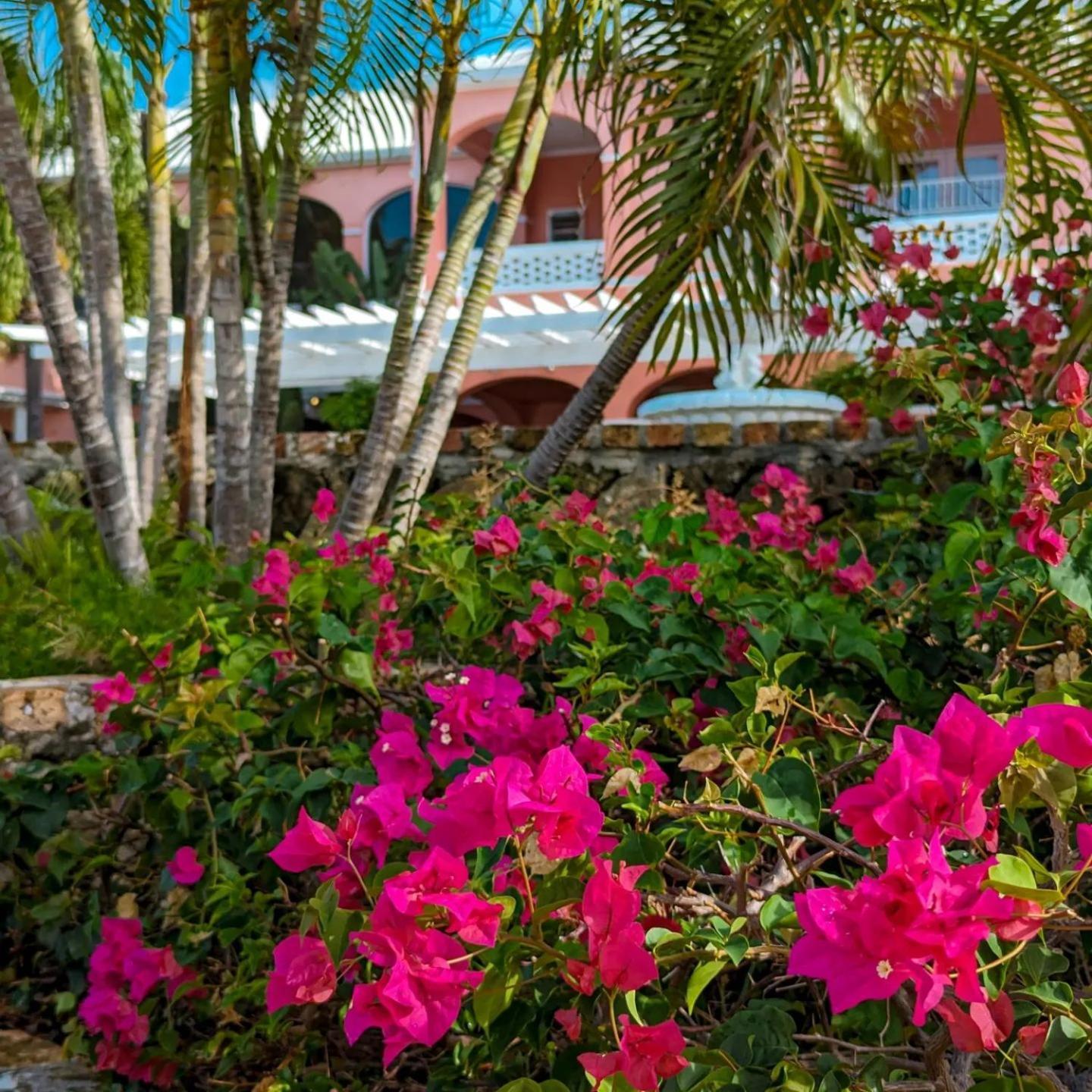 The Buccaneer Beach & Golf Resort Christiansted Zimmer foto